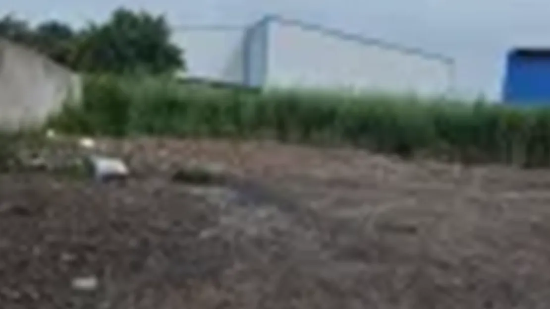 Junglepur Jalan | Vacant Land 