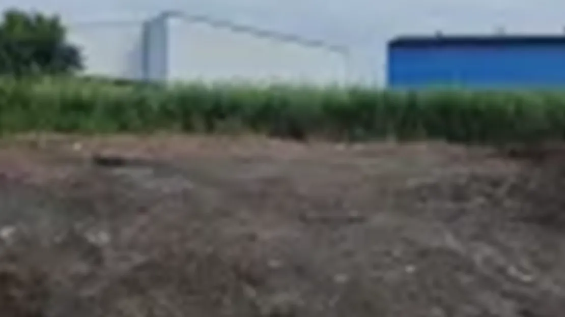 Junglepur Jalan | Vacant Land  - Image